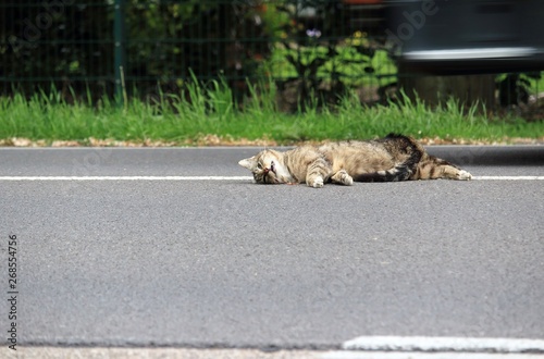 vom Auto überfahren