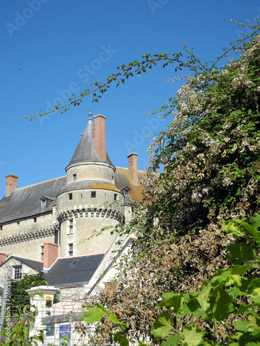 Schloss in Langeais  Frankreich