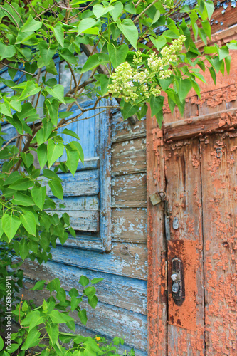 Old door with peeling paint and the wall of a wooden house