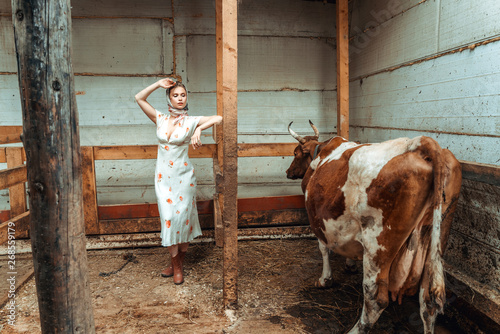 the woman is a milkmaid in the cowshed , farm photo