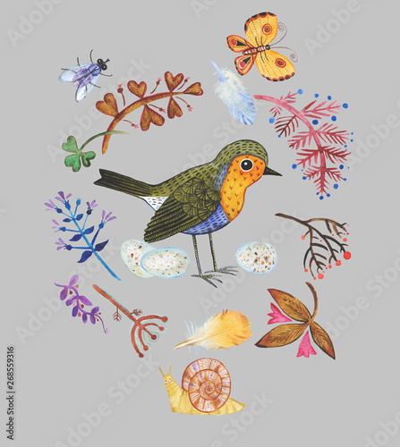 hand drawn watercolor set of stylized wild  plants and animals/bird Robin with eggs,a snail ,a butterfly, a fly