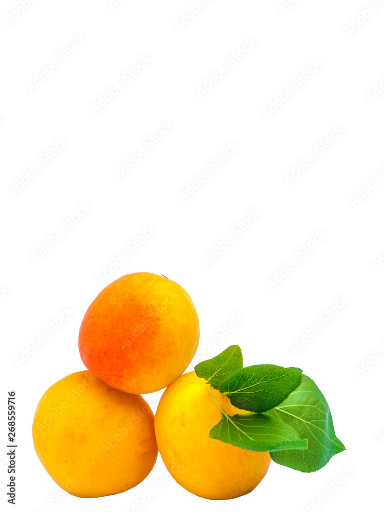 apricots isolated on white apricots isolated on white