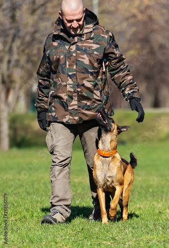 A man in camouflage colored jacket is training a Belgian Shepherd puppy