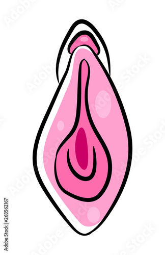 Human Vagina, Vaginal Opening Or Female Reproductive Sex Organ Line Art Vector Icon photo