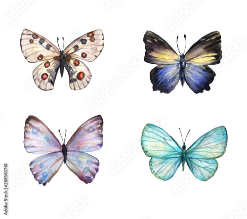 Watercolor colorful butterflies, isolated on white background. blue, yellow, pink and red butterfly spring illustration © Мария