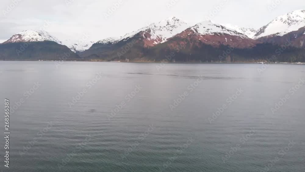 Humpback whale viewing in Seward, Alaska Humpback whale viewing in Seward, Alaska
