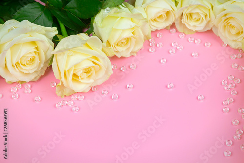 beautiful white roses on a pink background. place for text. top view background