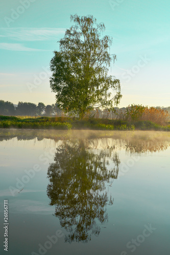 landscape with lake and trees
