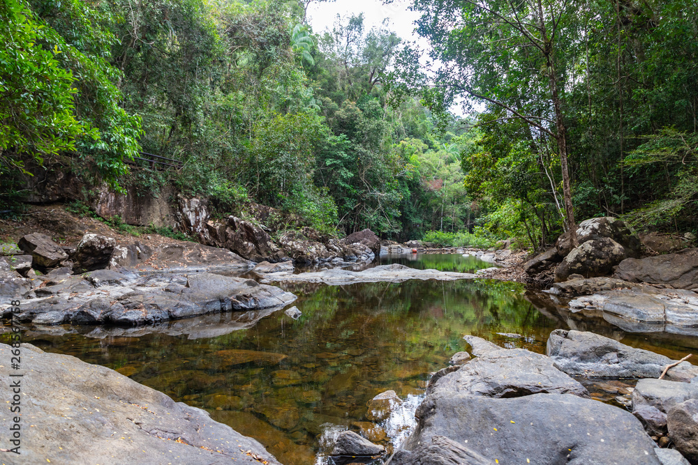 River n the jungle near  Khlong Phlu Waterfall on Koh Chang island, Thailand