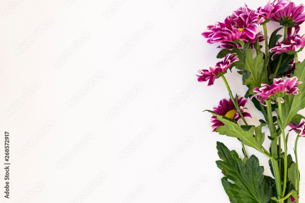 A bouquet of pink chrysanthemums with a yellow heart on a white background.