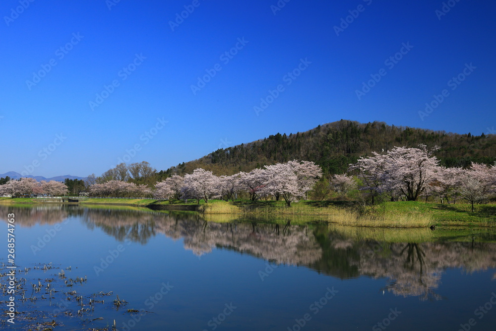 春の三郎堤