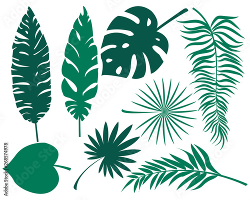 tropical leaf silhouette elements set isolated on white background. Palm, fan palm, monstera, banana leaves. Vector illustration in green and white colors