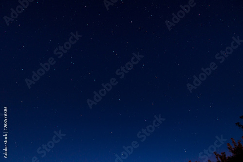 Night starry sky  constellations of big and small bear