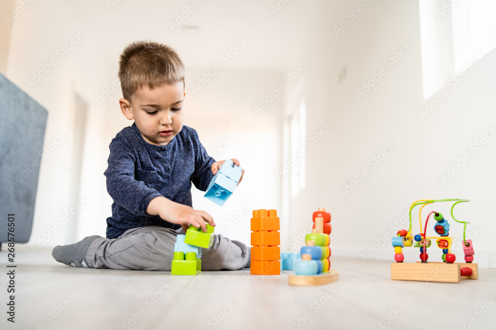 © Miljan Živković - Small boy playing with little brick block toys at home on the floor