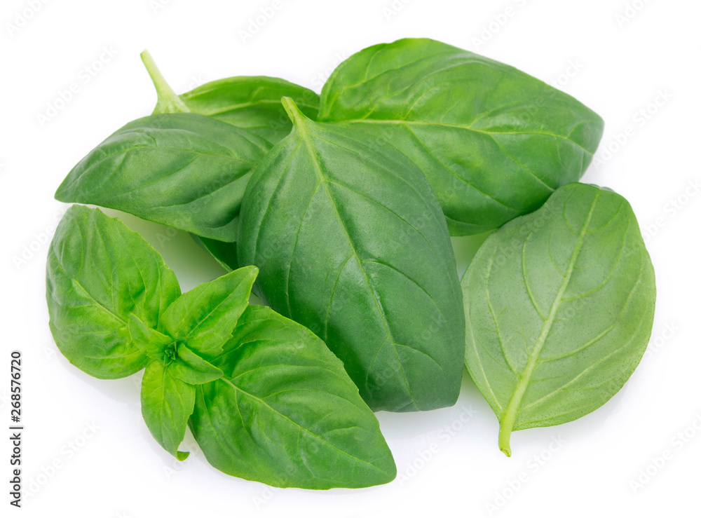 Fresh basil on white background Fresh basil on white background
