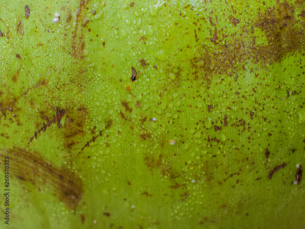 Misted coconut wall texture macro Misted coconut wall texture macro