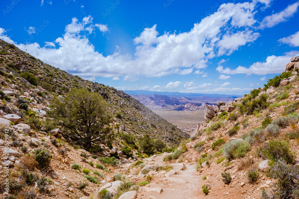 Desert trail view