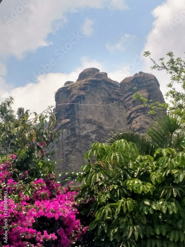 Morning in an outdoor weekend in Tepoztlan Morelos Mexico colorful flowers and a rocky mountain with green landscape and clear sky natural scene for a nice hike