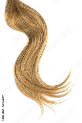 Brown hair isolated on white background. Long wavy ponytail