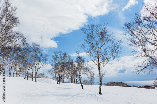 日本・北海道洞爺湖、冬の風景