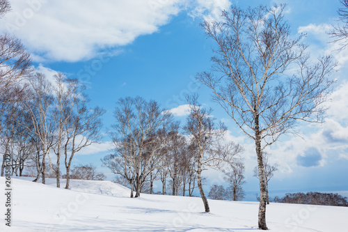 日本・北海道洞爺湖、冬の風景 © Hirayama Toshiya