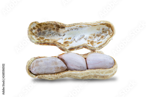 Closeop peeled peanut bean in wooden basket isolated on white background. photo