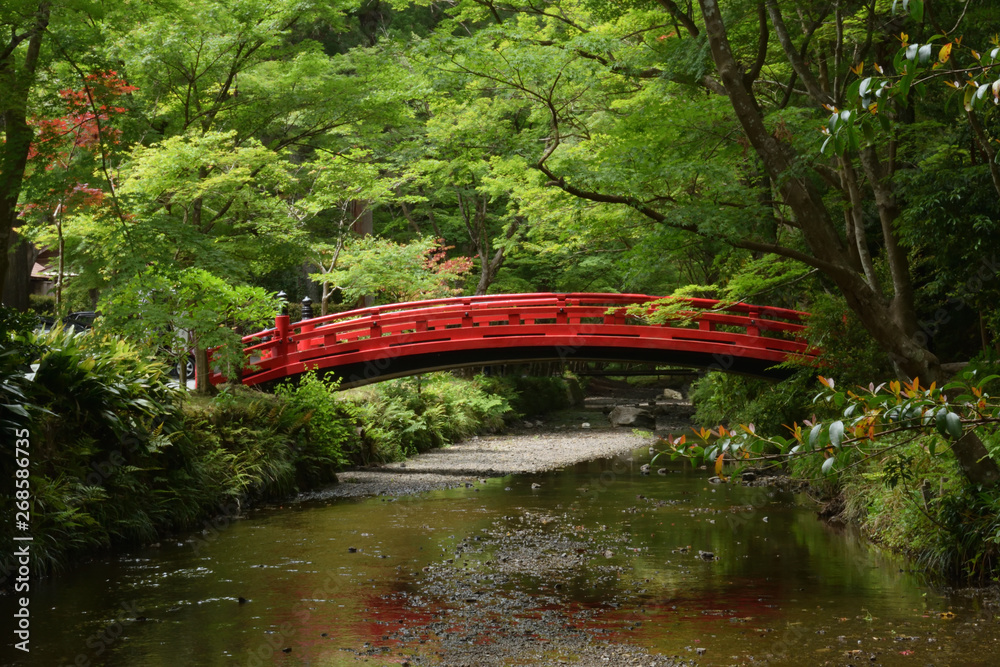 小國神社 橋 小國神社 橋