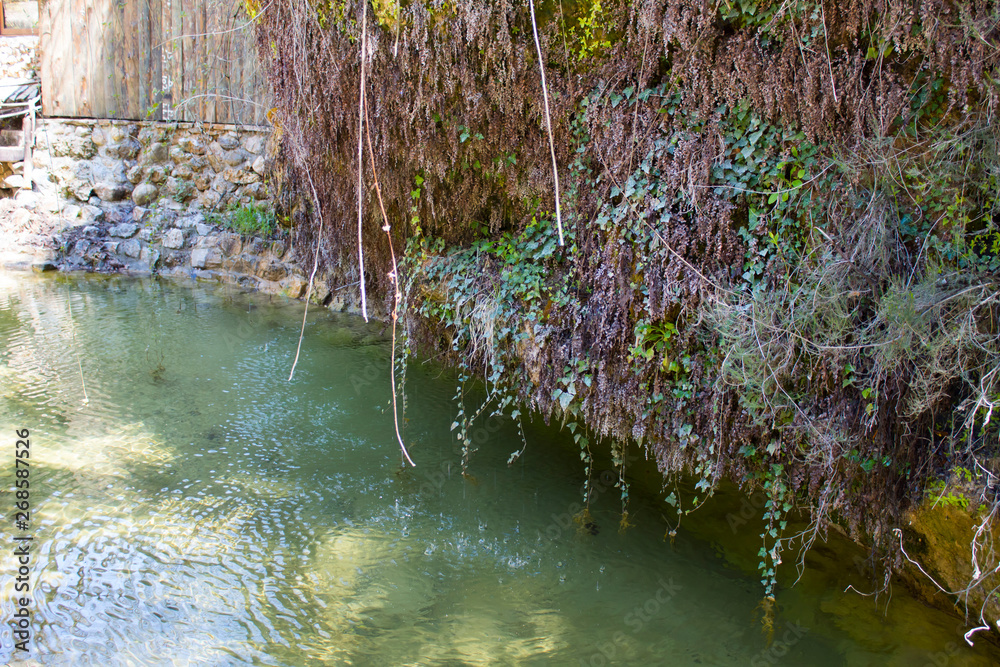 Stream flowing between rocks and dangling vines Stream flowing between rocks and dangling vines