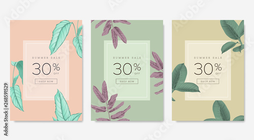 Botanical summer sale banner template design set, blue Calathea ornata on light orange, purple leaves on green and green Ficus Elastica / rubber plant, pastel vintage theme