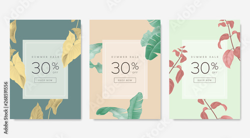 Botanical summer sale banner template design set, yellow Syngonium podophyllum albo-variegatum plant on blue, green banana leaves on light brown and red Fuchsia leaves, pastel vintage theme
