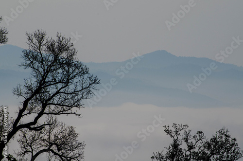 Above the fog