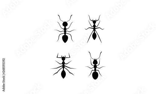 Ant set template vector © nura
