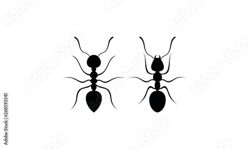 Two ants vector