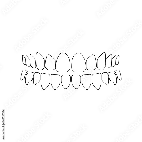 Teeth illustration outline
