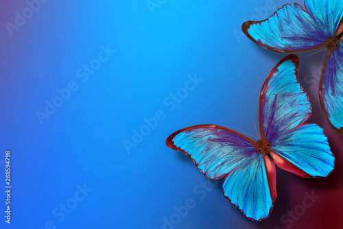 Photography Shades of blue