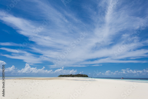 Beautiful trees on white sandy beach and blue sky in Semporna, Sabah