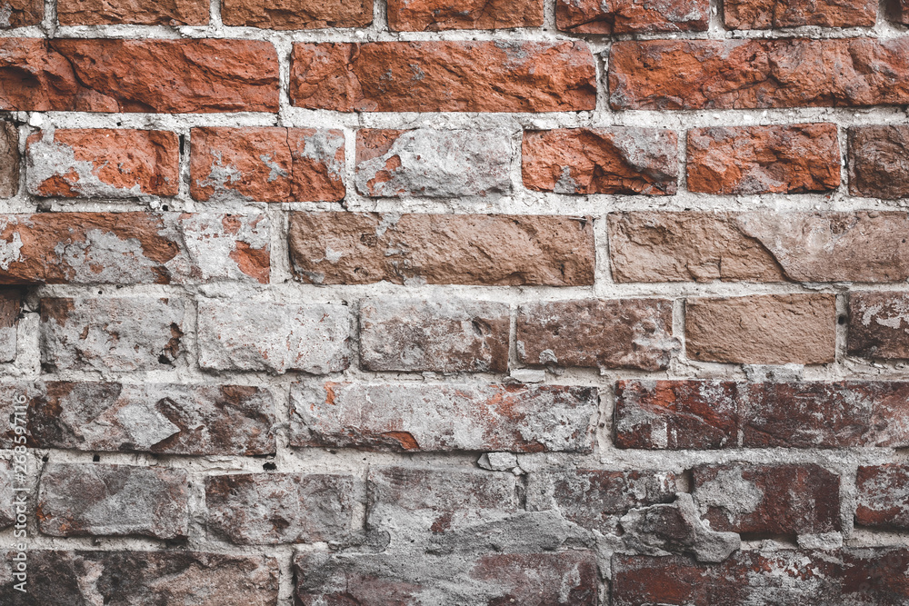 Fototapeta premium Grunge brick wall texture. Brickwork background