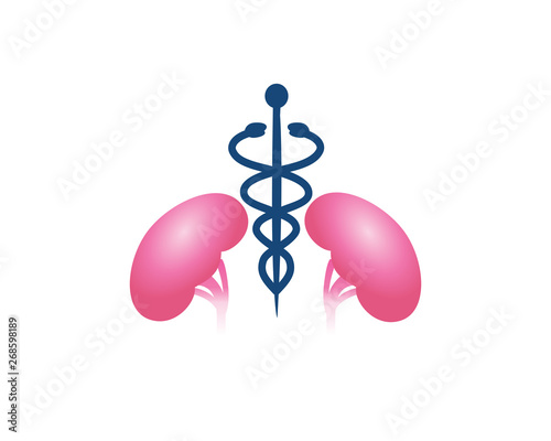 Modern Kidney Medical Treatment Technology Logo Illustration In Isolated White Background