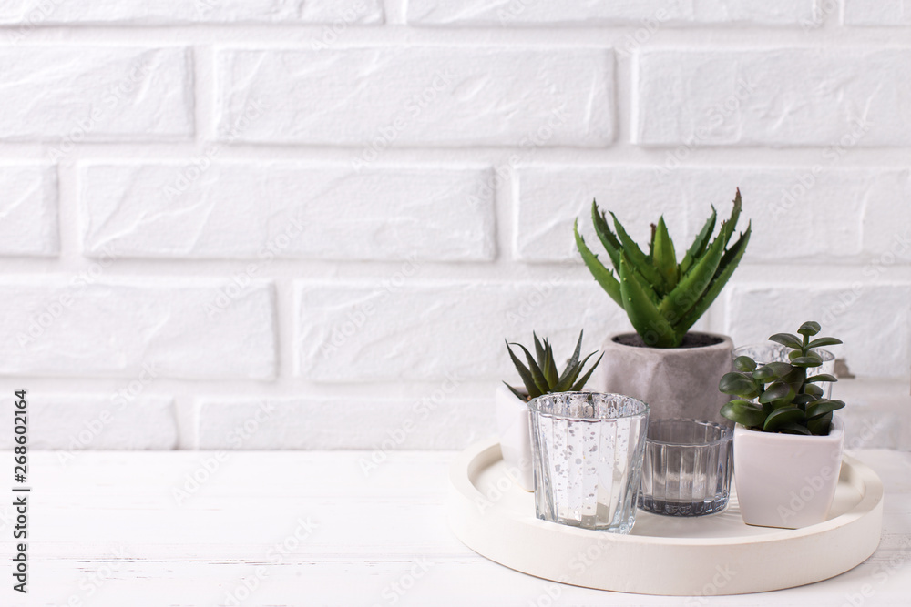 Various succulents and cactus plants in pots and candleholders on tray near by white brick wall. Various succulents and cactus plants in pots and candleholders on tray near by white brick wall.