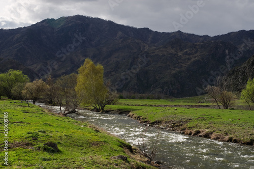 Mountain river stream among green fields