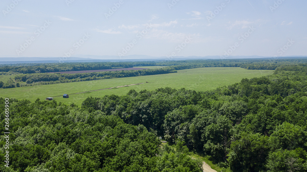 Aerial landscape nature - Dense green forest, green meadows, blue sky in southern Russia