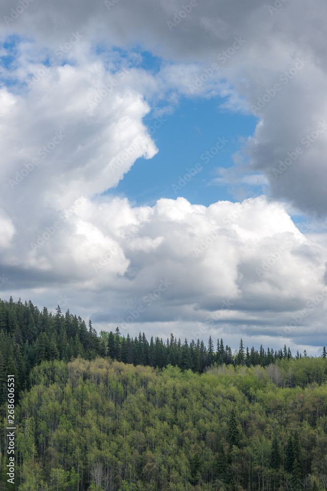 Aspen & Clouds in Spring - Opening in the Sky Aspen & Clouds in Spring - Opening in the Sky