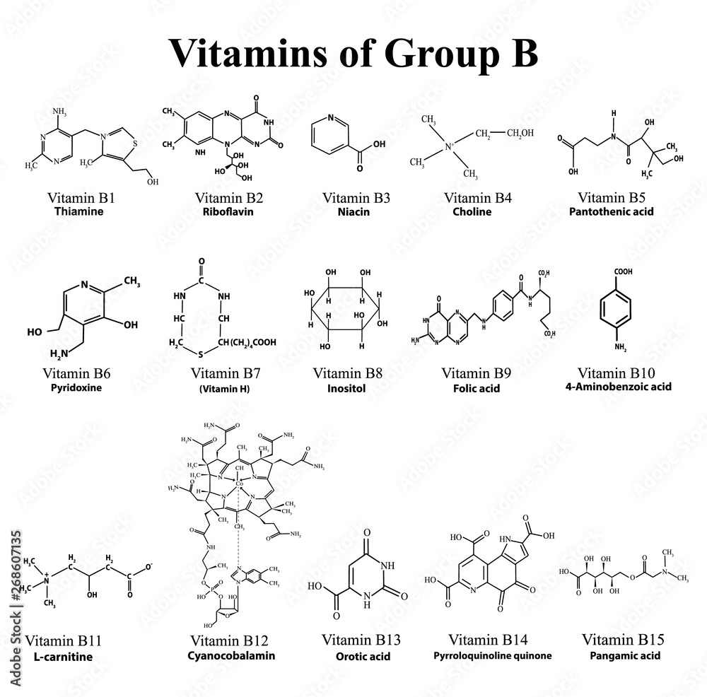 Water soluble vitamins set. Vitamins of group B. Chemical molecular formulas of vitamins. Infographics. Vector illustration on an isolated background.