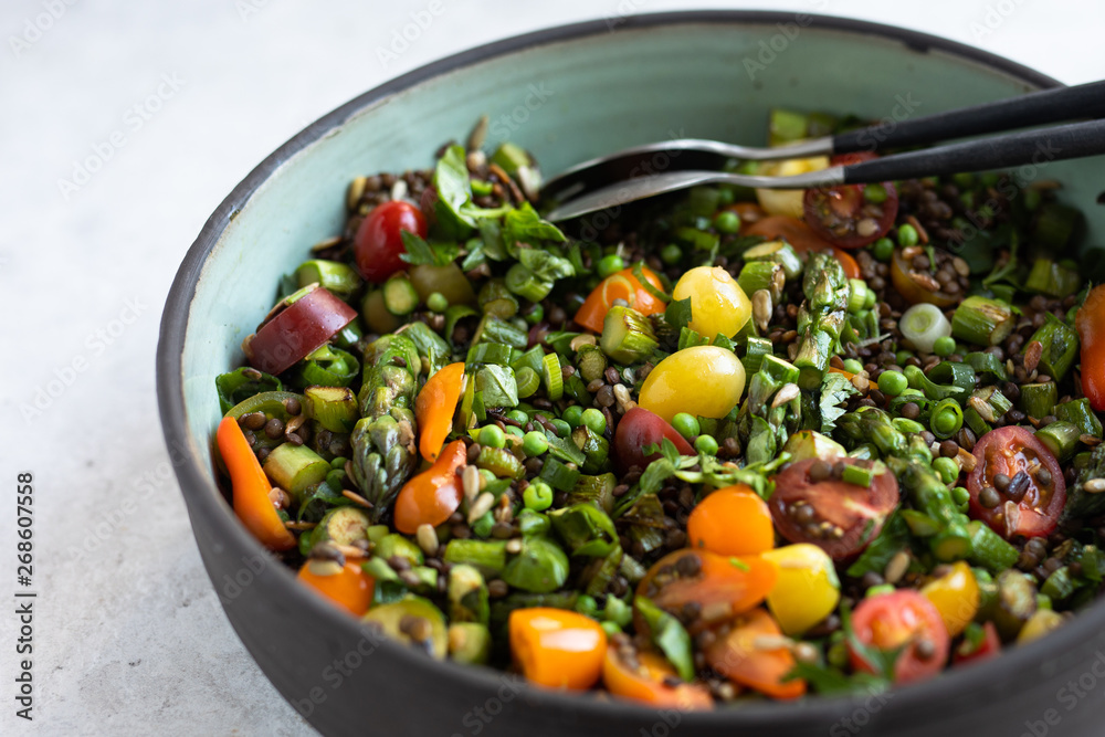 Du Puy lentils, cherry tomatoes, asparagus, sweet peas, scallions, parsley, cilantro, basil salad with vinaigrette in a pottery salad bowl. Side view, light background. Du Puy lentils, cherry tomatoes, asparagus, sweet peas, scallions, parsley, cilantro, basil salad with vinaigrette in a pottery salad bowl. Side view, light background.