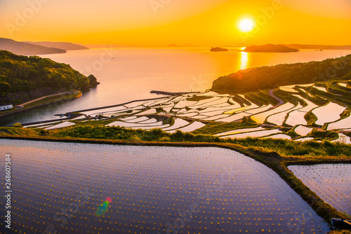 Doya Tanada, sunset on the rice field, kyushu, japan photo