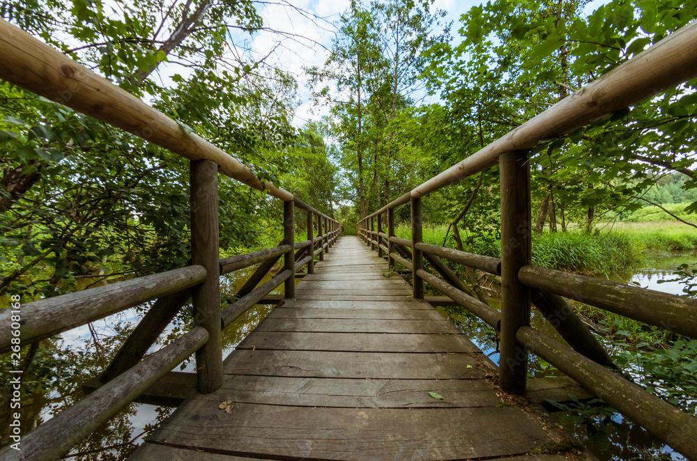 Wooden bridge over river fisheye