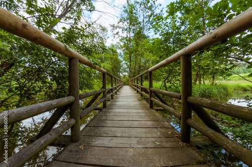 Wooden bridge over river fisheye