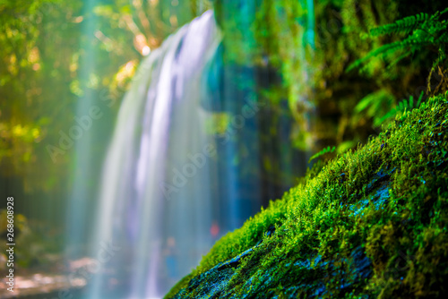 Nabegatai  waterfall in forest  Kumamoto Japan