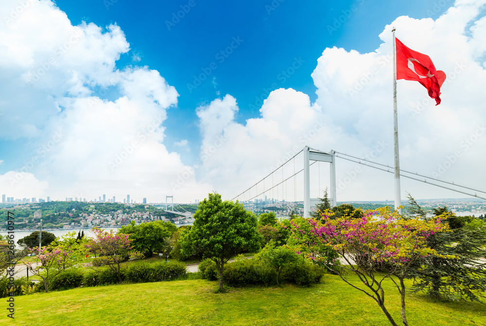 Fototapeta premium Judas trees (Turkish: Erguvan) in Istanbul. Beautiful spring view of the Istanbul Bosphorus from Otagtepe. Fatih Sultan Mehmet Bridge. Istanbul, Turkey..