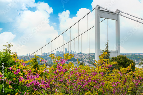 Judas trees (Turkish: Erguvan) in Istanbul. Beautiful spring view of the Istanbul Bosphorus from Otagtepe. Fatih Sultan Mehmet Bridge. Istanbul, Turkey.. photo